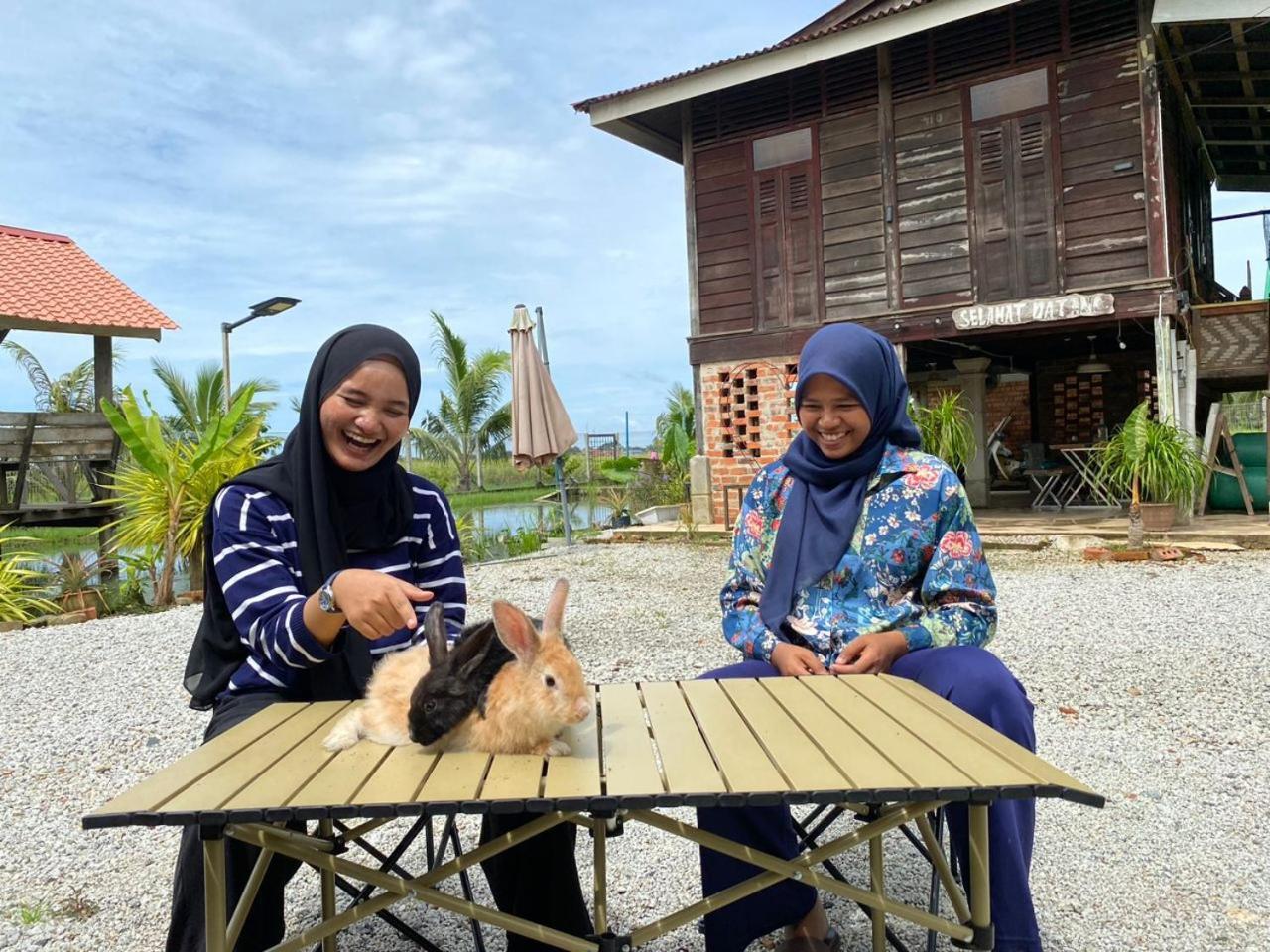 Dangau Sala D'Kontena Alor Setar Eksteriør billede